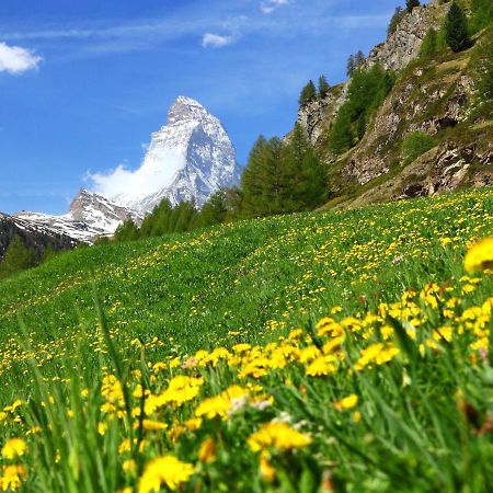 Apartment Gamma By Interhome Zermatt Zewnętrze zdjęcie