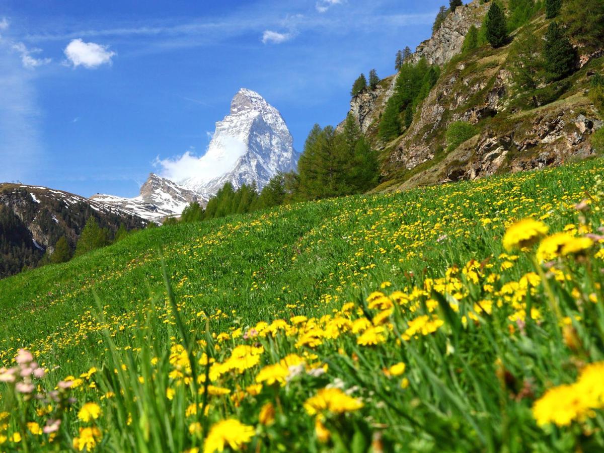 Apartment Gamma By Interhome Zermatt Zewnętrze zdjęcie